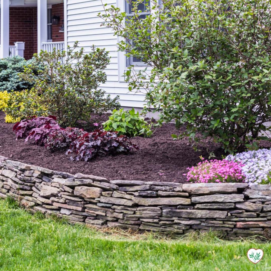 Pacciamatura di corteccia applicata intorno a piante ornamentali in un giardino residenziale, mostrando un uso efficace del pacciame per migliorare l'estetica del paesaggio.