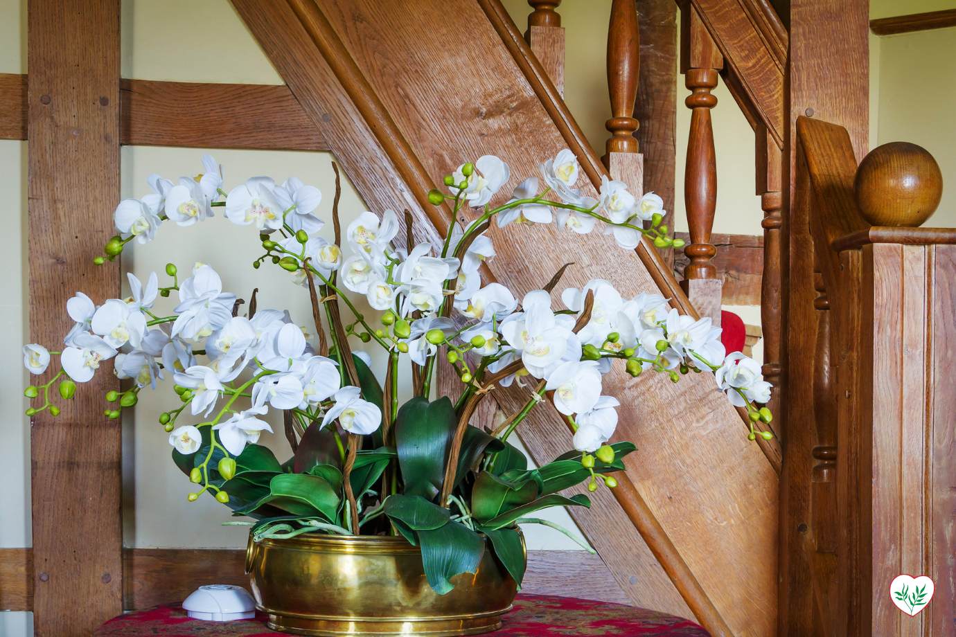 Orchidee bianche fiorite in un vaso dorato come esempio perfetto di piante fiorite per interni, accanto a una scala in legno.