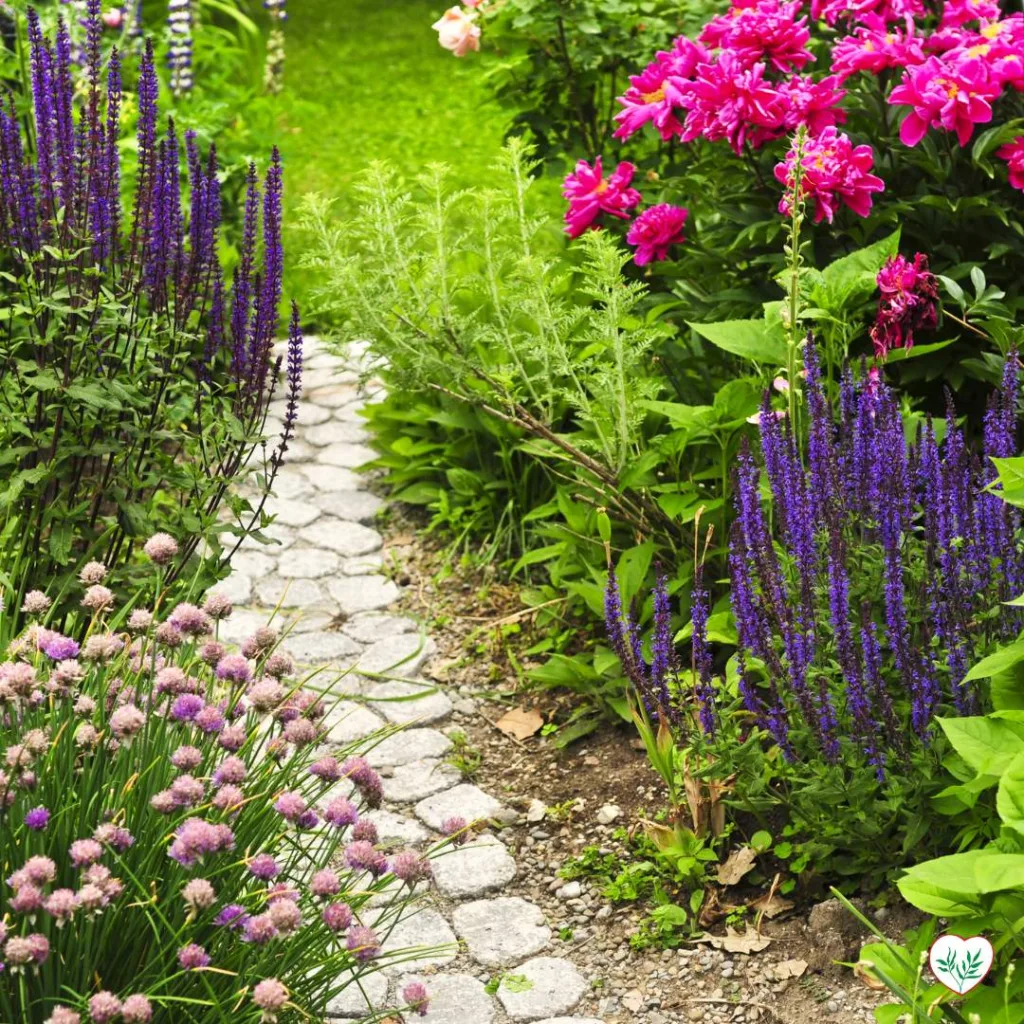 Sentiero in giardino con fiori perenni colorati, esempio di Fiori Perenni nel Design del Paesaggio