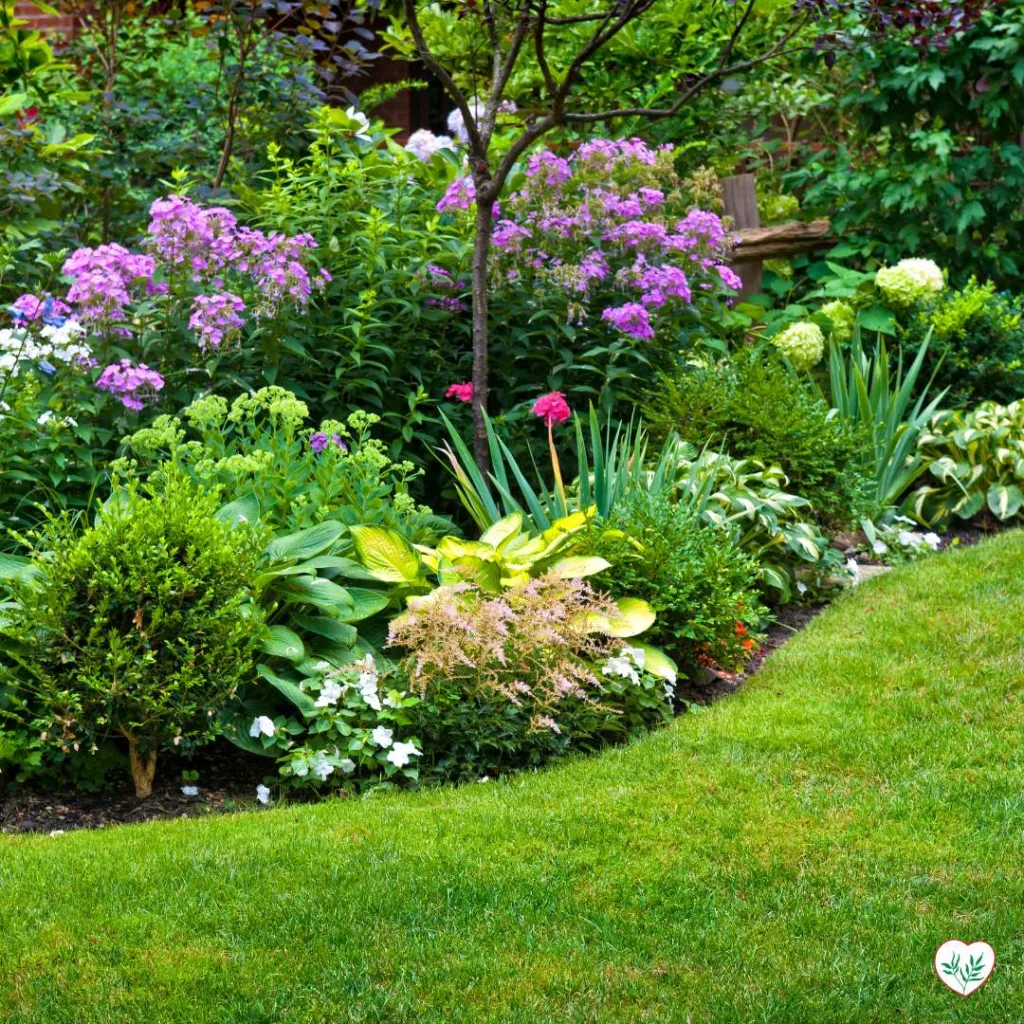 Giardino ben curato con fiori perenni che migliorano l'estetica del paesaggio
