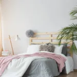 Palme da Interno in una moderna camera da letto