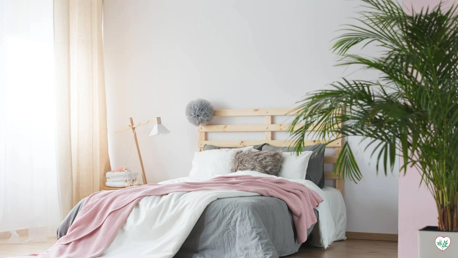 Palme da Interno in una moderna camera da letto