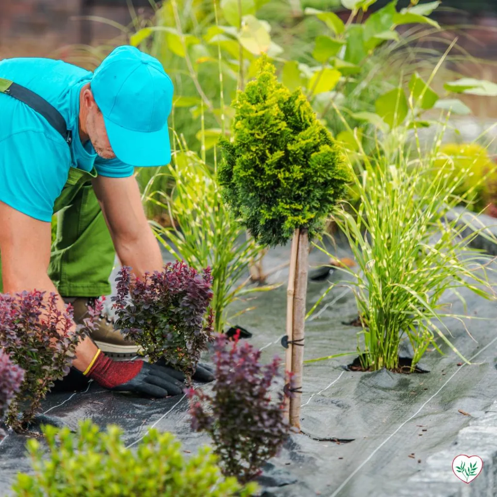 Un giardiniere indossa un cappello e guanti mentre pianta attentamente varie piante in un giardino, dimostrando l'importanza della manutenzione regolare.