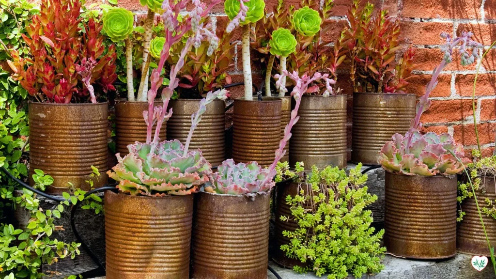 Contenitori e vasi di recupero utilizzati come fioriere uniche nel giardino, inclusi pneumatici colorati riciclati.