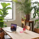 Grandi piante da interno: Ficus Lyrata in un ampio soggiorno luminoso, con grandi finestre e arredamento moderno.