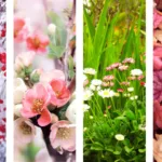 Collage di piante stagionali per colorare il giardino in tutte le stagioni, mostrando bacche sotto la neve, fiori primaverili, margherite estive e foglie autunnali.