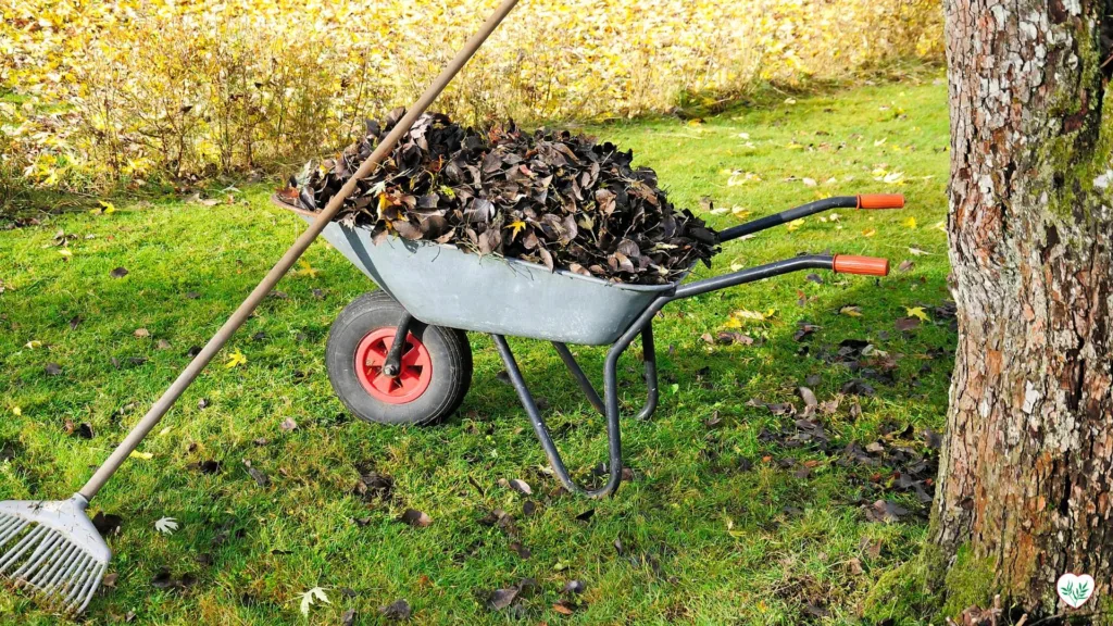 Preparazione Autunnale del Giardino