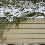 Rami coperti di neve di sempreverdi resistenti al freddo drappeggiati su una scatola di immagazzinamento esterna beige.