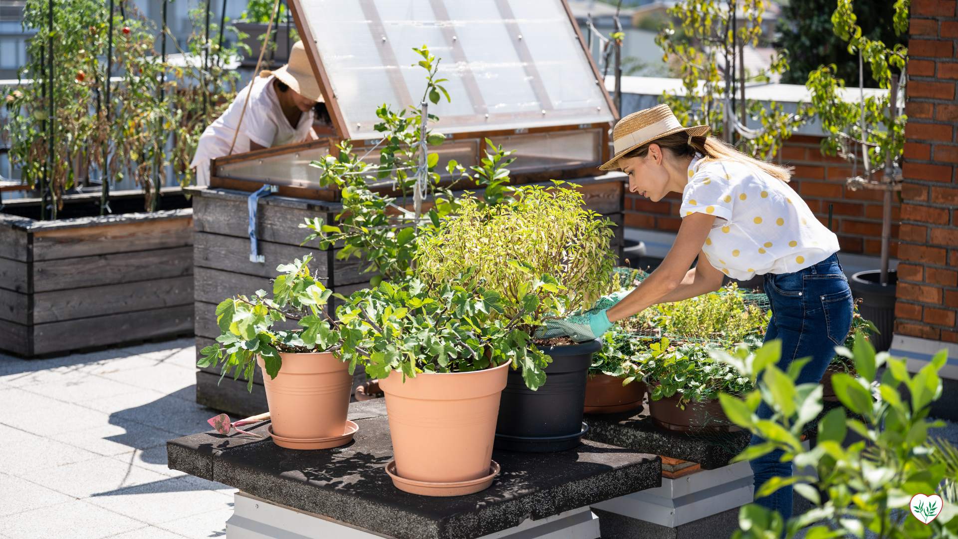 Due giardinieri impegnati in progetti fai da te per giardinieri, lavorando su piante in contenitori su un balcone urbano.