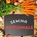 Una varietà di verdure autunnali e spezie su un tavolo di legno con un cartello che dice 'SEMINA AUTUNNALE'