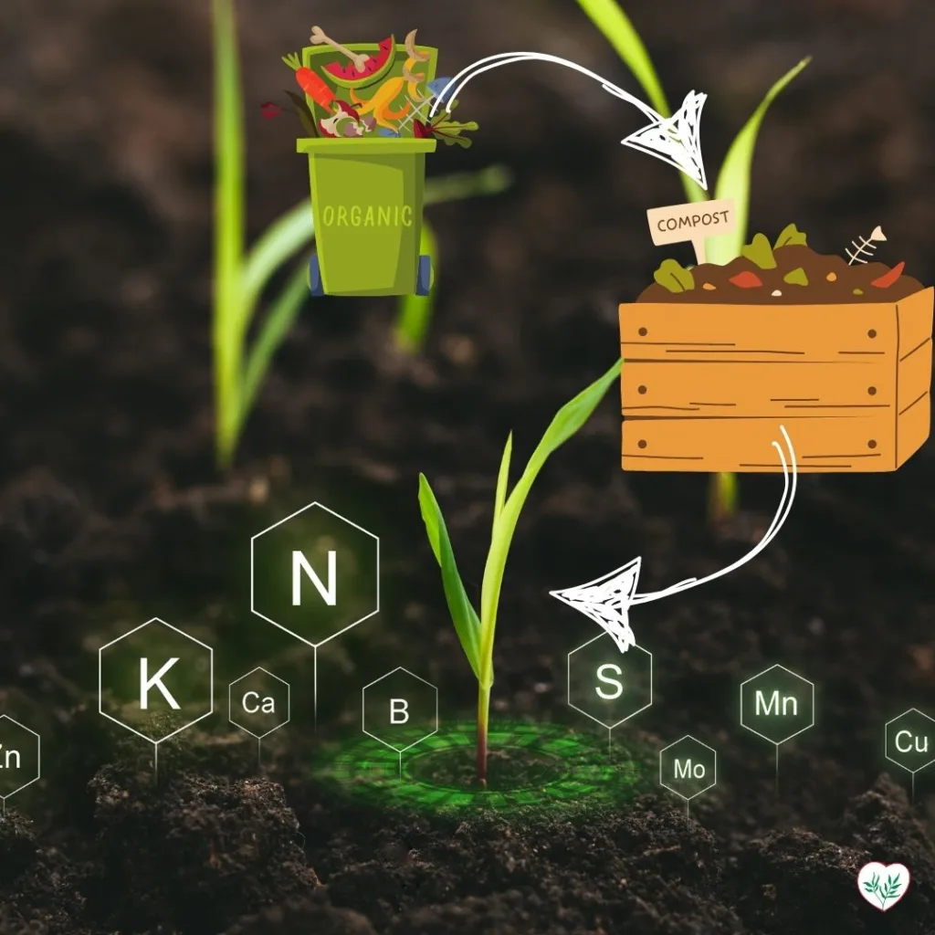 Schema illustrativo del compostaggio domestico che mostra l'importanza di materiali organici ricchi di azoto e carbonio per la nutrizione del terreno.