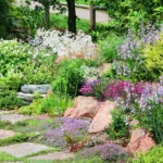 Colorato giardino con diverse piante perenni per basse manutenzioni, inclusi fiori viola, rosa e bianchi, distribuiti su un terreno roccioso.