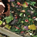 Materiali organici per compostaggio domestico e compost maturo utilizzato per fertilizzare il giardino.