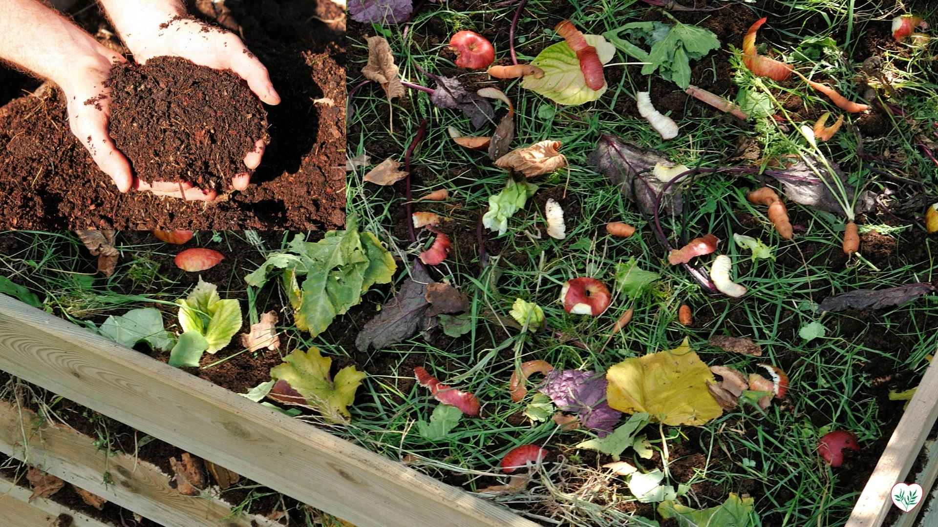 Materiali organici per compostaggio domestico e compost maturo utilizzato per fertilizzare il giardino.
