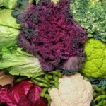 Assortimento di ortaggi invernali freschi tra cui cavolo, broccoli, cavolfiore e cavolini di Bruxelles
